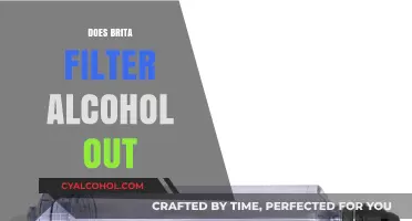 Sipping Safely: Does a Brita Filter Remove Alcohol from Your Water?