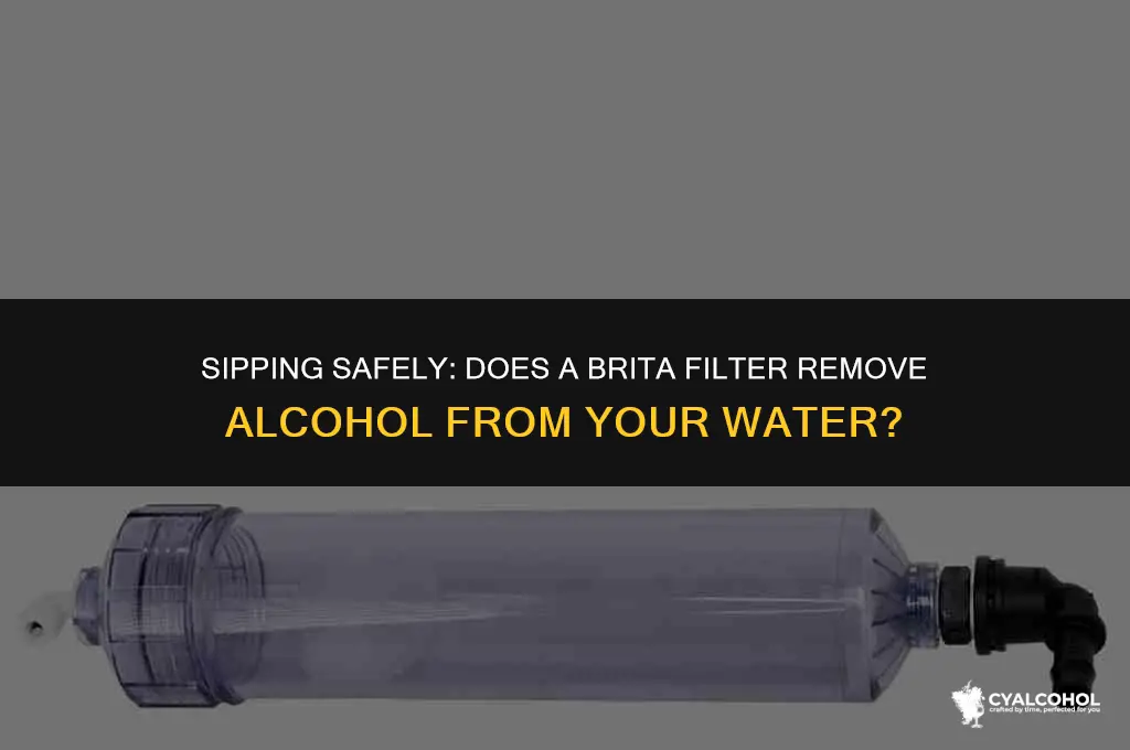 does brita filter alcohol out