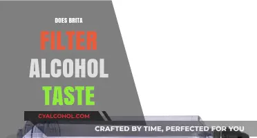Sipping Sober: Does a Brita Filter Enhance Alcohol Taste?