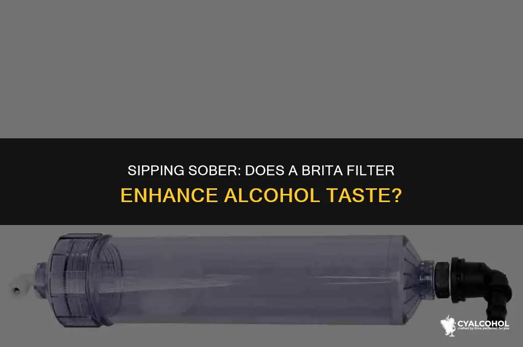 does brita filter alcohol taste