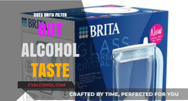 Can Brita Filters Remove Alcohol Taste from Beverages?