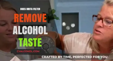 Can Brita Filters Eliminate Alcohol Taste from Beverages?