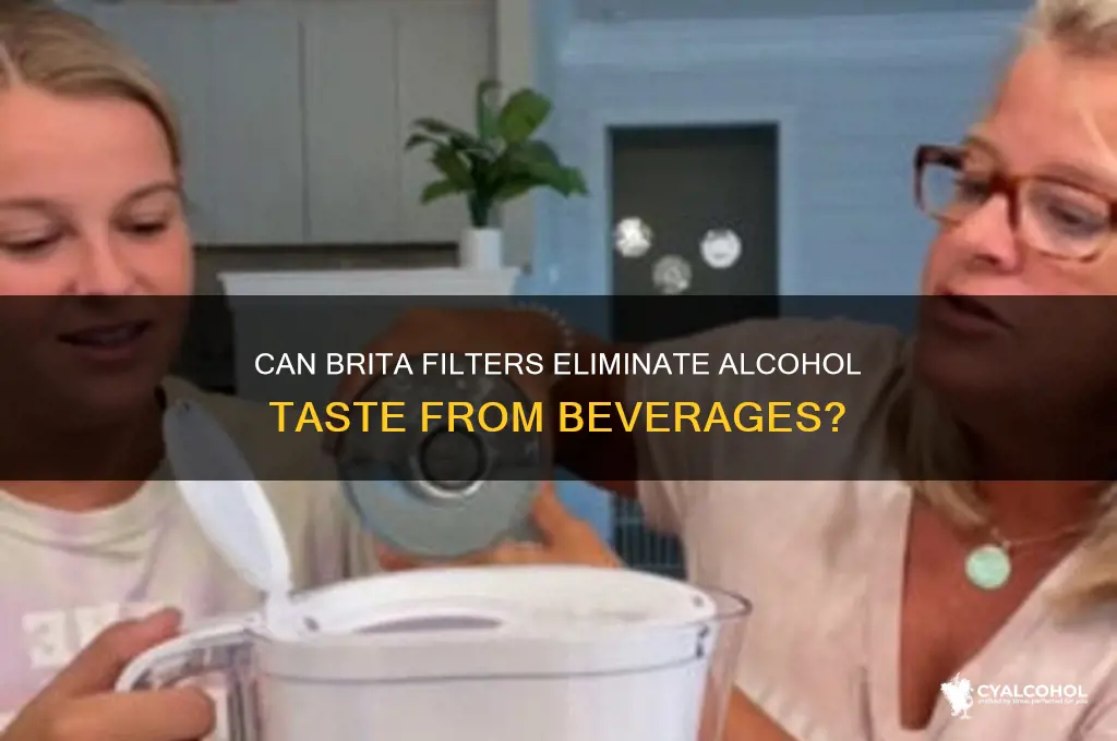does brita filter remove alcohol taste