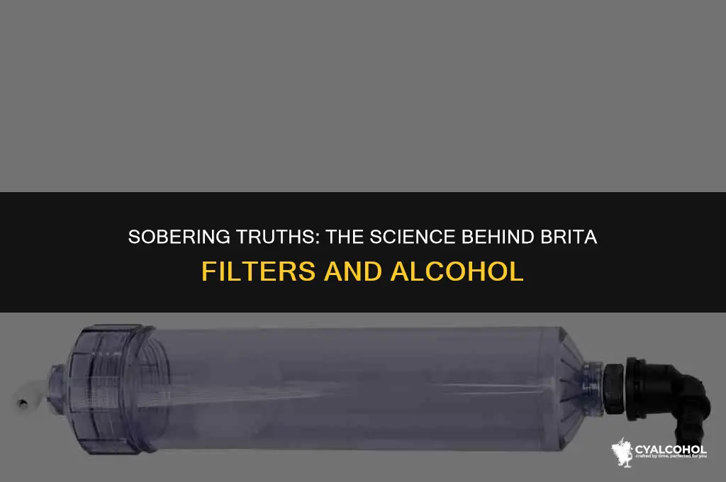 does brita filtering alcohol work