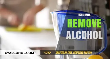 Can Brita Filters Remove Alcohol from Beverages? The Truth Revealed