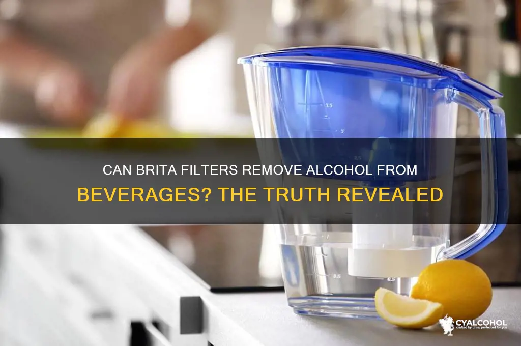 does brita remove alcohol