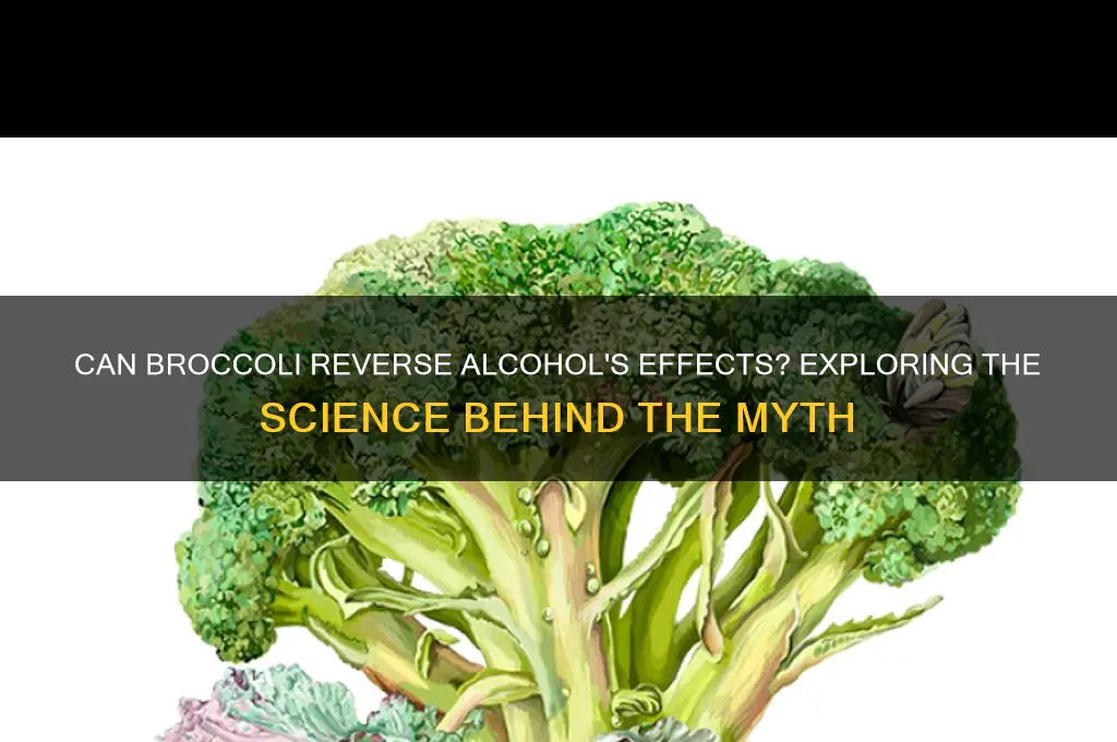 does broccoli undo alcohol