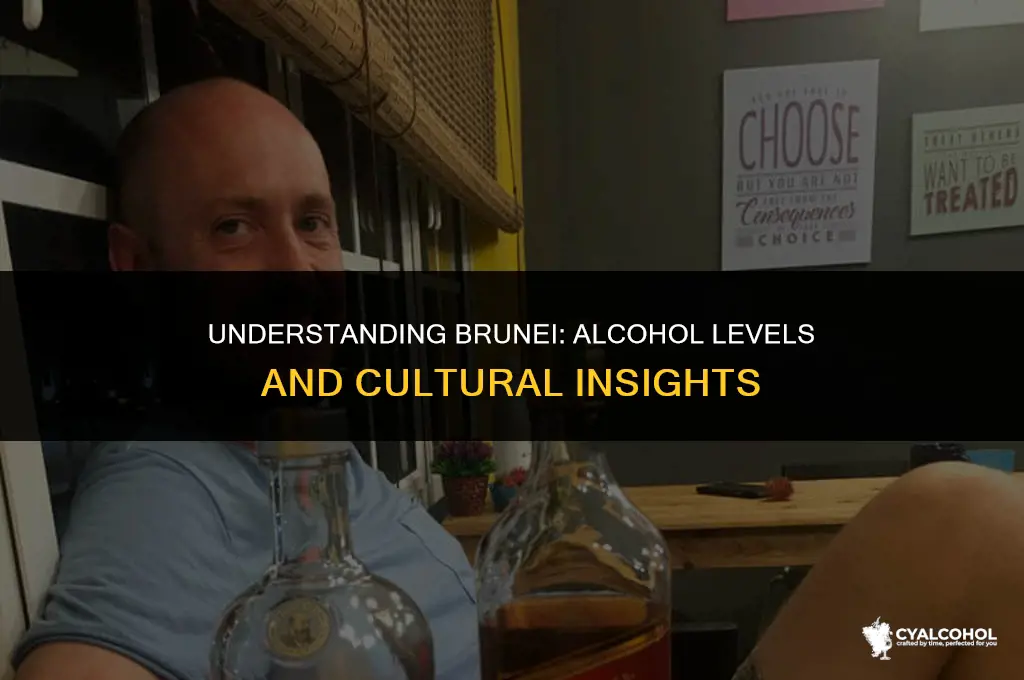 does brune mean alcohol level
