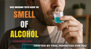 Can Brushing Teeth Really Mask Alcohol Breath? The Truth Revealed