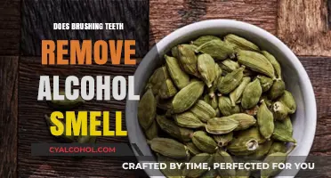 Can Brushing Teeth Eliminate Alcohol Breath? The Truth Revealed