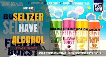 Exploring the Ingredients: Does Bud Seltzer Contain Alcohol?