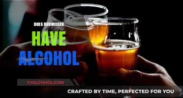 Does Budweiser Contain Alcohol? Unraveling the Truth Behind the Brew