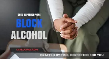 Does Buprenorphine Block Alcohol Cravings? Exploring Its Dual Role in Recovery