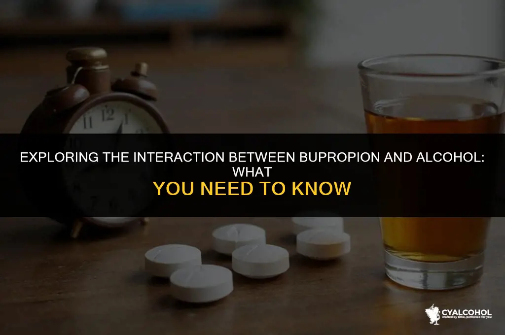 does bupropion interact with alcohol