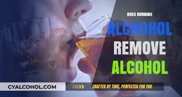 Sobriety Through Science: Does Burning Alcohol Really Remove It?
