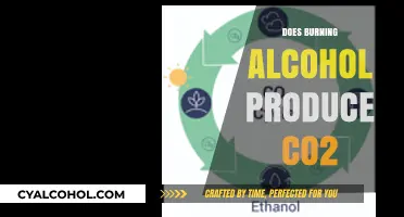 The Chemistry of Combustion: Does Burning Alcohol Produce CO2?