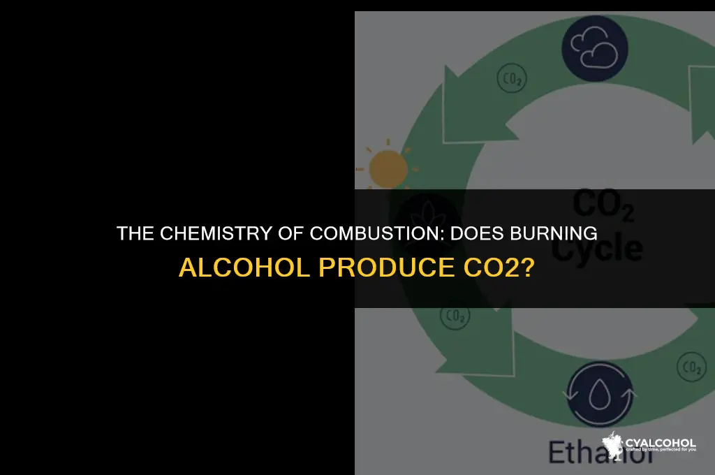 does burning alcohol produce co2