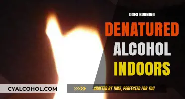 The Hidden Dangers: Burning Denatured Alcohol Indoors