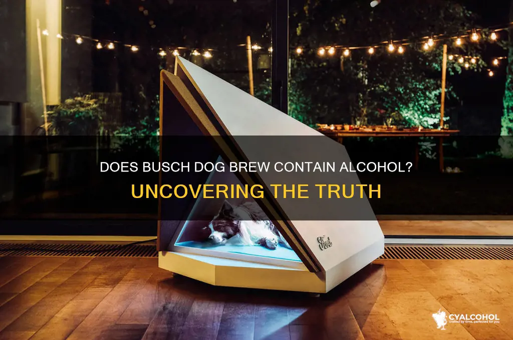 does busch dog brew have alcohol