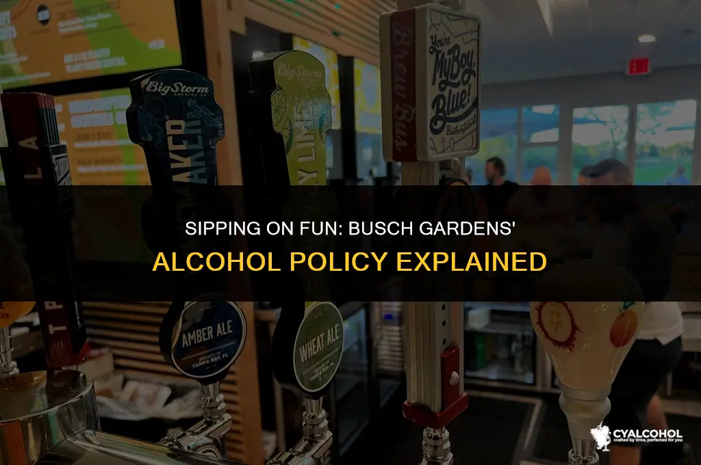 does busch gardens have alcohol