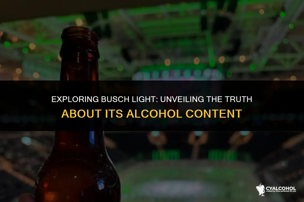 does busch light have alcohol