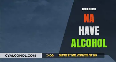 Busch NA Alcohol Content: Uncovering the Truth About Its Ingredients