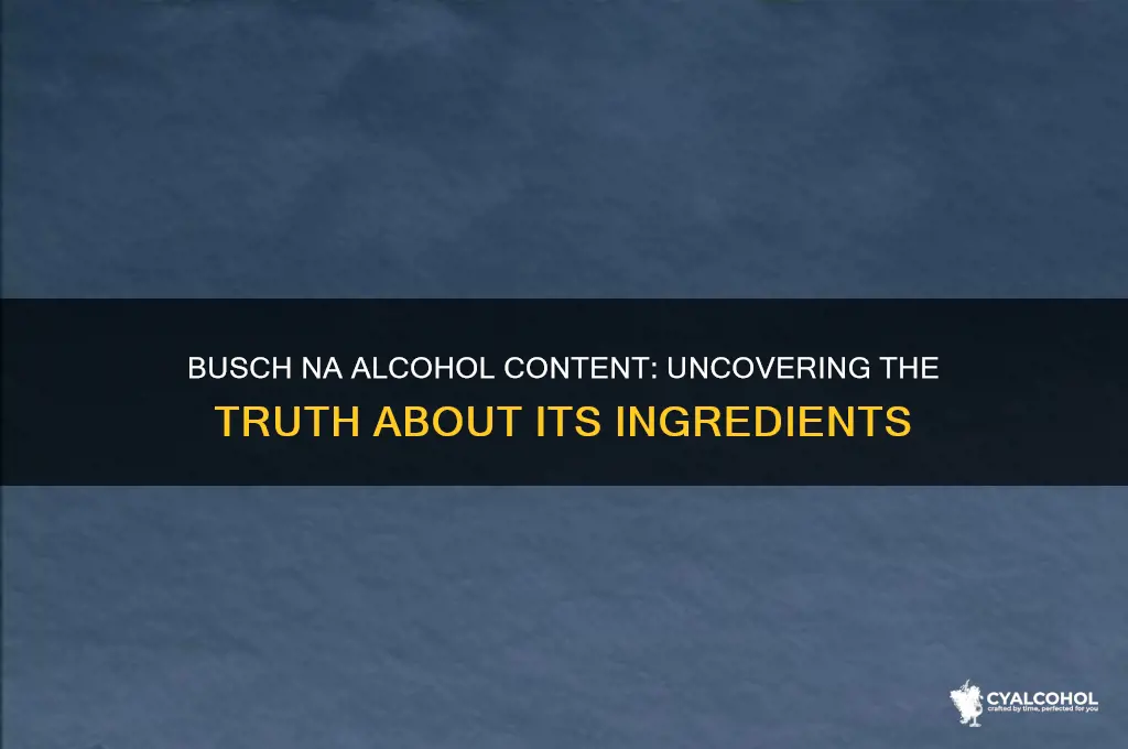 does busch na have alcohol