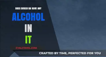 Does Busch NA Contain Alcohol? Uncovering the Truth About Its Ingredients
