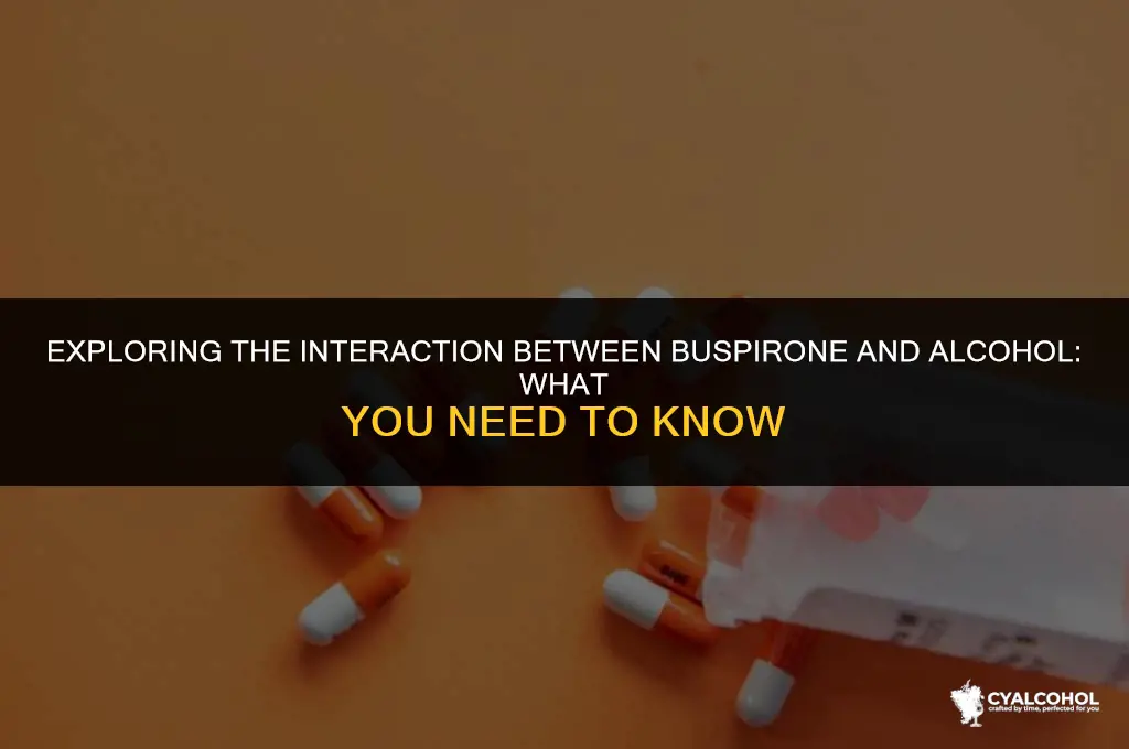 does buspirone interact with alcohol