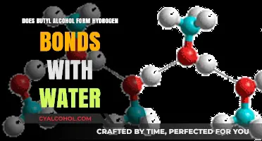 Butyl Alcohol and Water: Exploring Hydrogen Bond Formation Possibilities