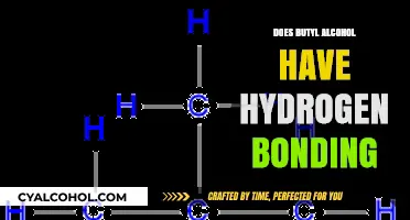 Exploring Butyl Alcohol's Hydrogen Bonding Potential: Chemistry Insights