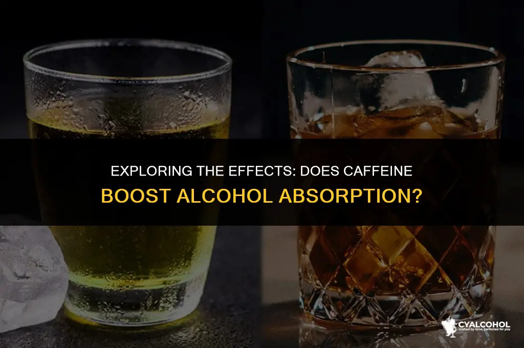 does caffeine increase alcohol absorption