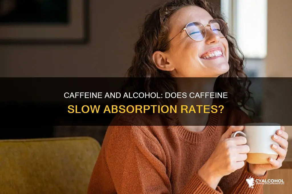 does caffeine slow the rate of alcohol absorption