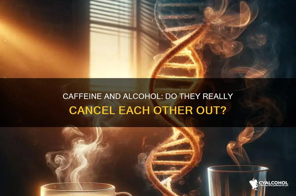 does caffinee and alcohol cancel each other out