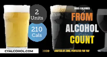Do Calories from Alcohol Count Towards Your Daily Intake?