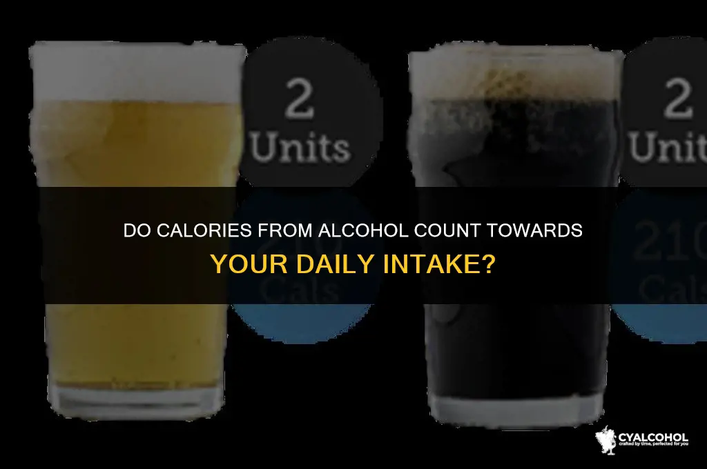 does calories from alcohol count