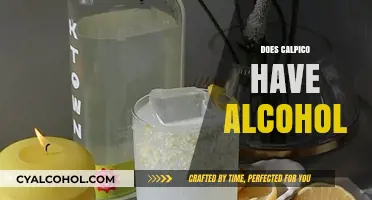 Calpico Alcohol Content: Unraveling the Truth Behind the Popular Drink