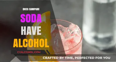 Exploring Campari Soda: A Refreshing Blend with a Kick