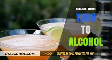 The Surprising Truth About Cantaloupe and Alcohol Transformation