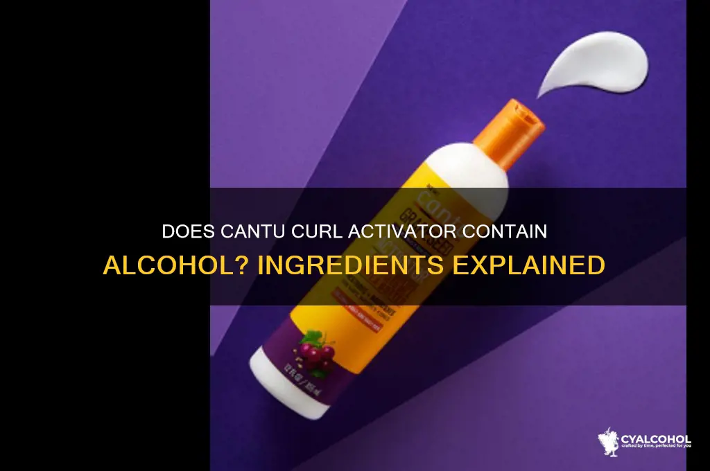 does cantu curl activator have alcohol