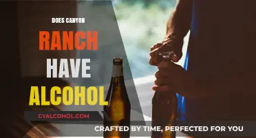 Exploring Canyon Ranch: A Look at Their Alcohol Policy
