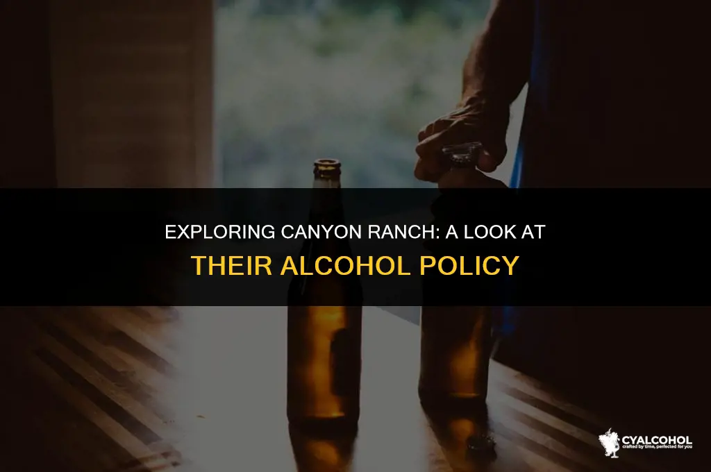 does canyon ranch have alcohol