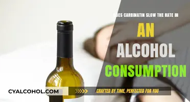 Carb Loading: Slowing Alcohol's Effects