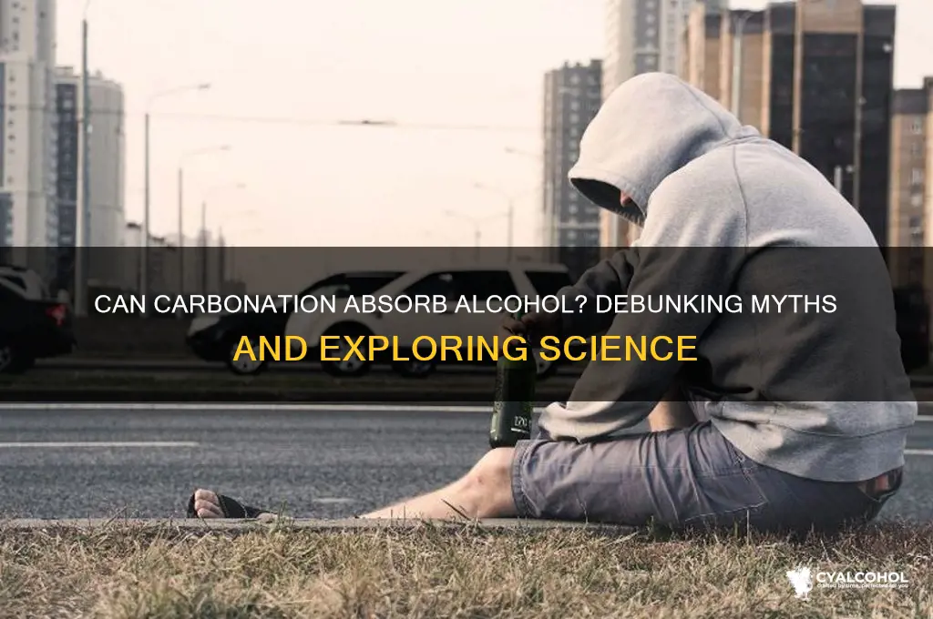 does carbination absorb alcohol