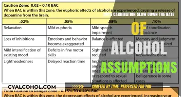 How Carbonation Affects Alcohol Absorption in the Body