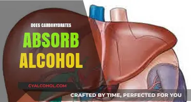 Carbohydrates and Alcohol Absorption: Fact or Fiction?