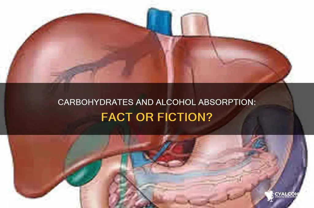 does carbohydrates absorb alcohol