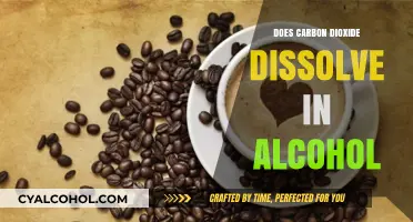Does Carbon Dioxide Dissolve in Alcohol? Exploring the Science