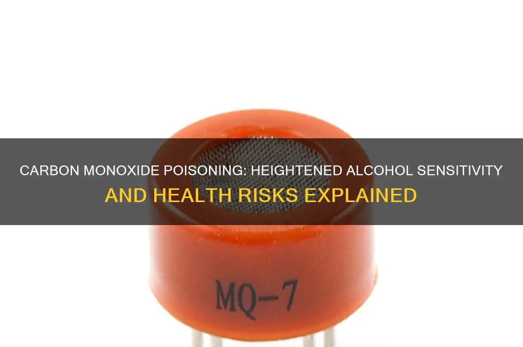 does carbon monoxide poisoning increase sensitivity to alcohol