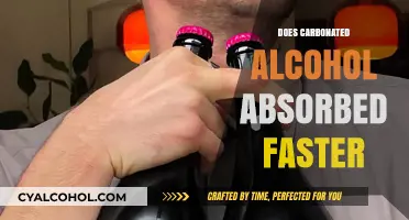 Exploring the Myths: Does Carbonated Alcohol Absorb Faster?